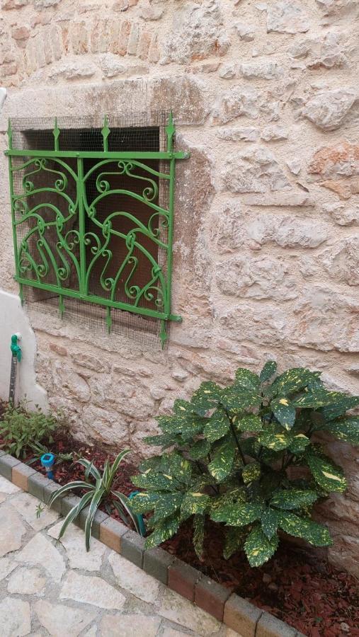 Studio With Garden In Ρόβινι Εξωτερικό φωτογραφία